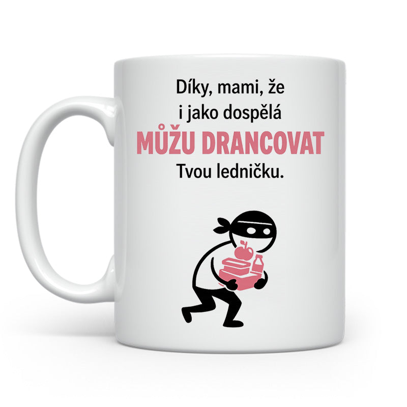 Můžu drancovat ledničku