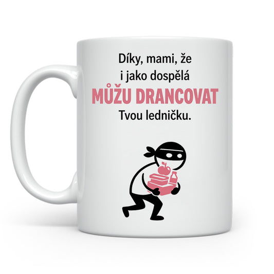 Můžu drancovat ledničku